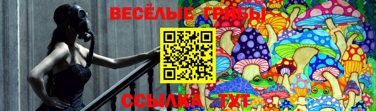 Псилоцибиновые грибы мицелий Лысьва
