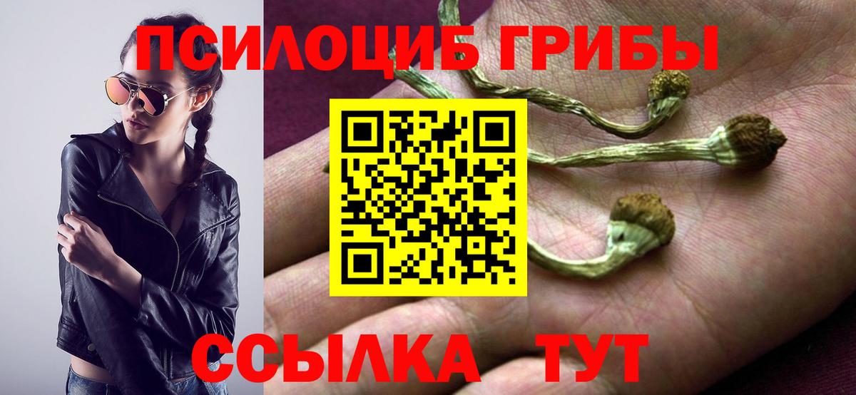 МЕФ Лысьва